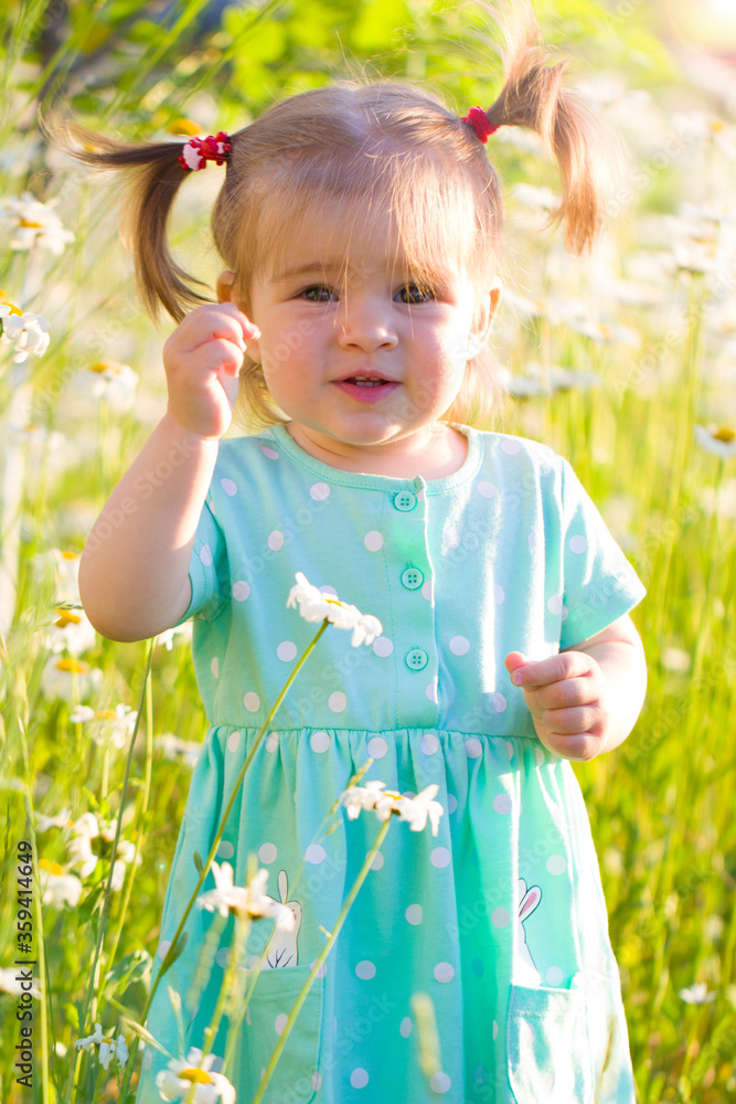 little beautiful child girl in daisies flowers field summer bright mood positive little beautiful child girl in daisies flowers field summer bright mood positive