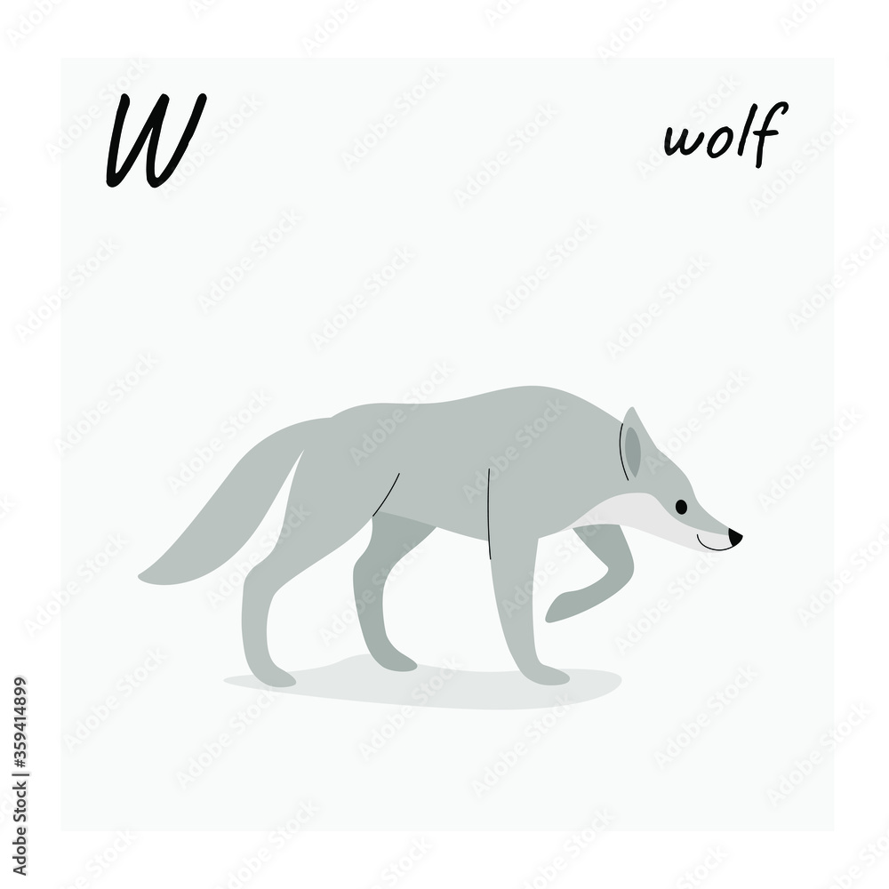 Cute wolf - cartoon animal character. Vector illustration in flat style isolated on gray background.