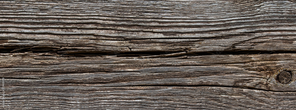 texture of old wood planks wall background
texture of old wood planks wall background