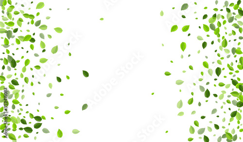 Swamp Greens Spring Vector Template. Ecology 