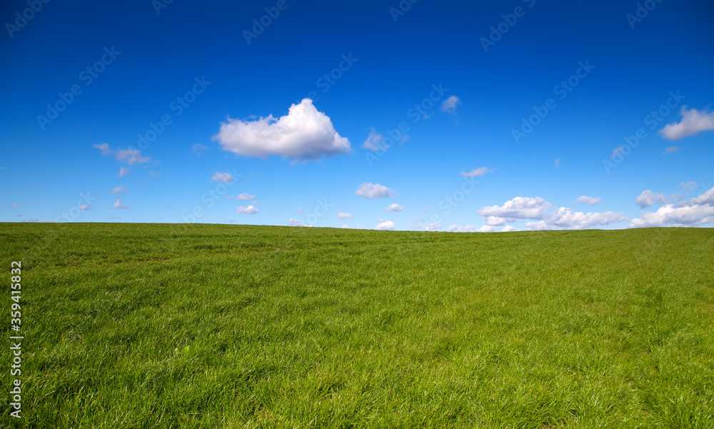 green grass and blue sky