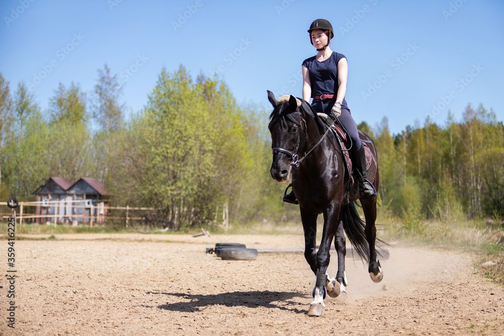 Beautiful girl riding a horse on manege Beautiful girl riding a horse on manege