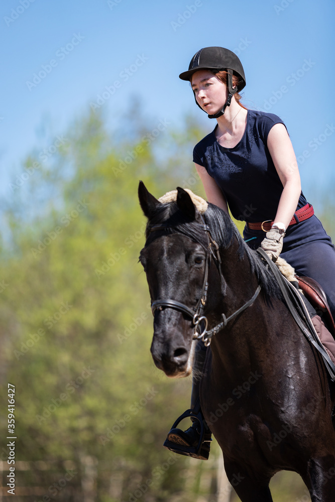 Beautiful girl riding a horse on manege Beautiful girl riding a horse on manege