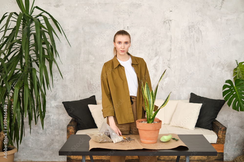 Young woman taking care of plants and home flowers, wearing casual stylish clothes. Home gardening and slow life rituals. Standing at the table.