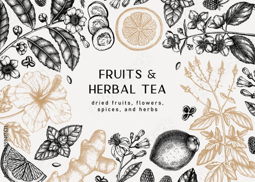 Herbal tea ingredients banner. Summer drinks recipe template with hand-sketched fruits, herbs, flowers, leaves. Herbal tea or matcha vintage background