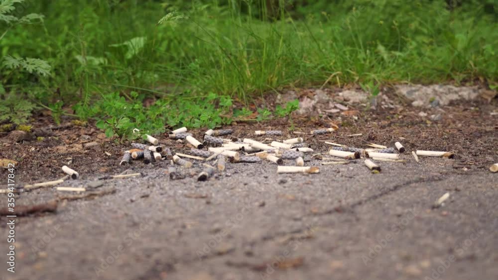 Scrolling pan of cigarette butts on the pavement. The concept of environmental pollution, and cleaning ashtrays from cars on nature.