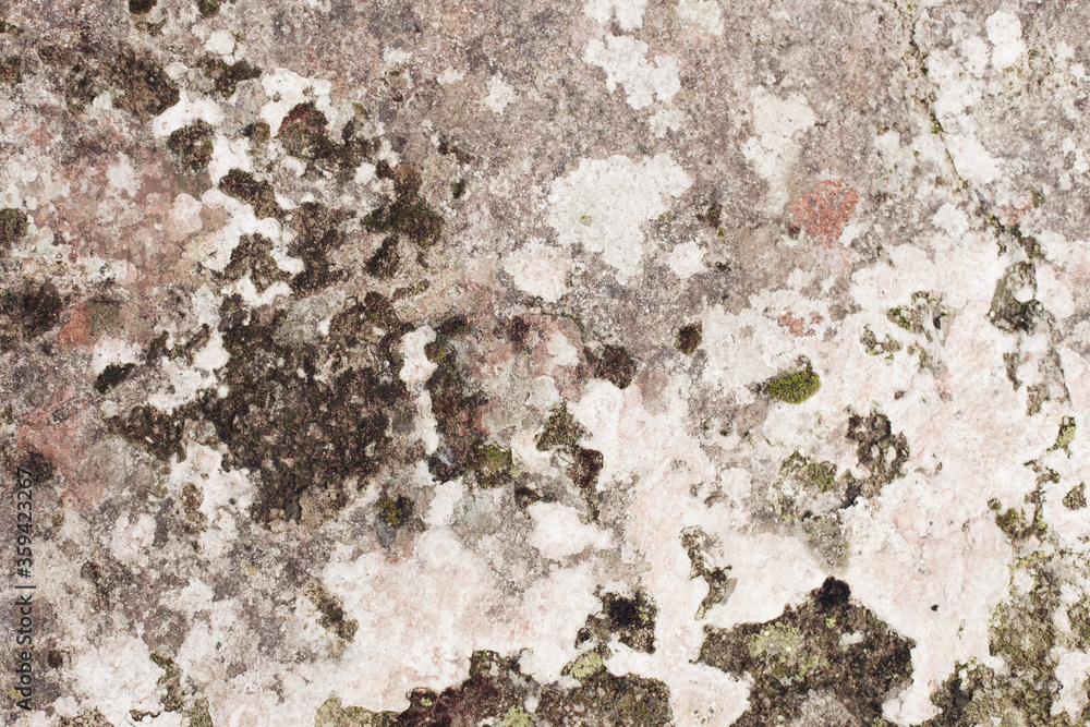 Old grey brown wall texture, natural aging, orange and green mold Old grey brown wall texture, natural aging, orange and green mold