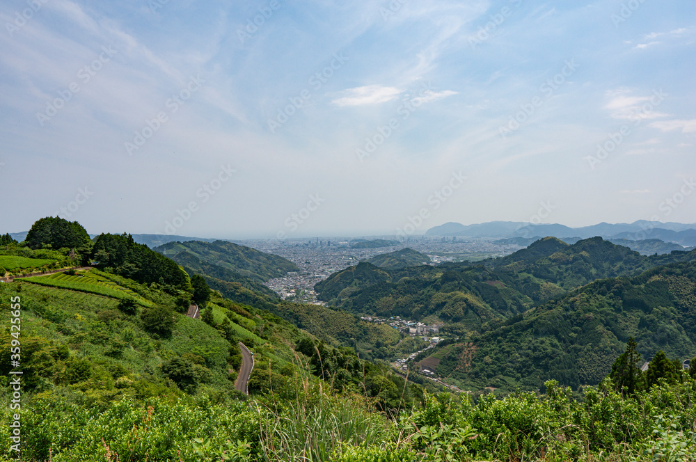 山から見た茶畑と静岡市の街並み