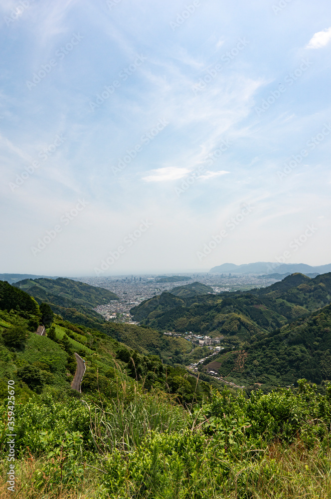 Naklejka premium 山から見た茶畑と静岡市の街並み