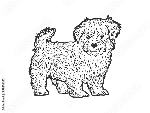 Cute and fluffy puppy. Sketch scratch board imitation. Black and white.