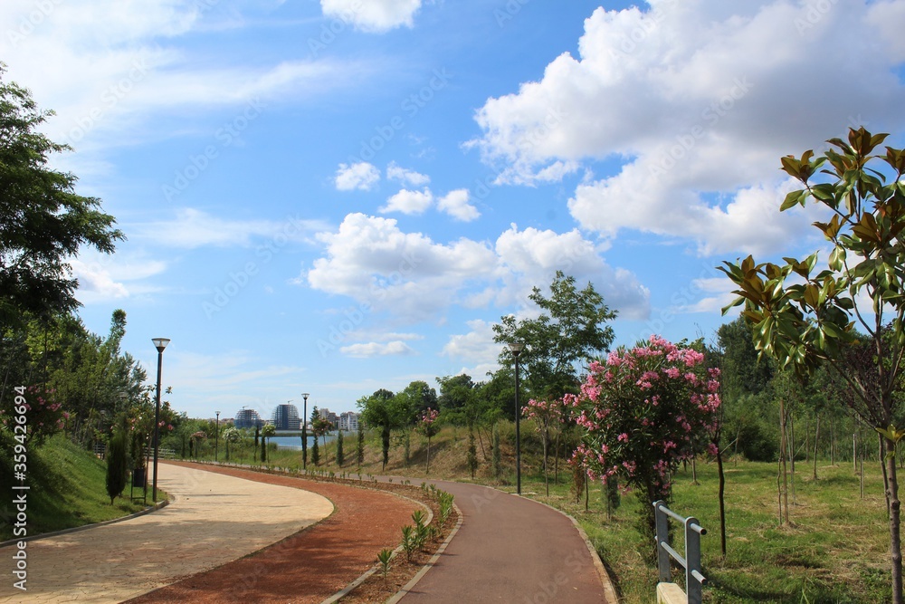 road in the park with blue sky
