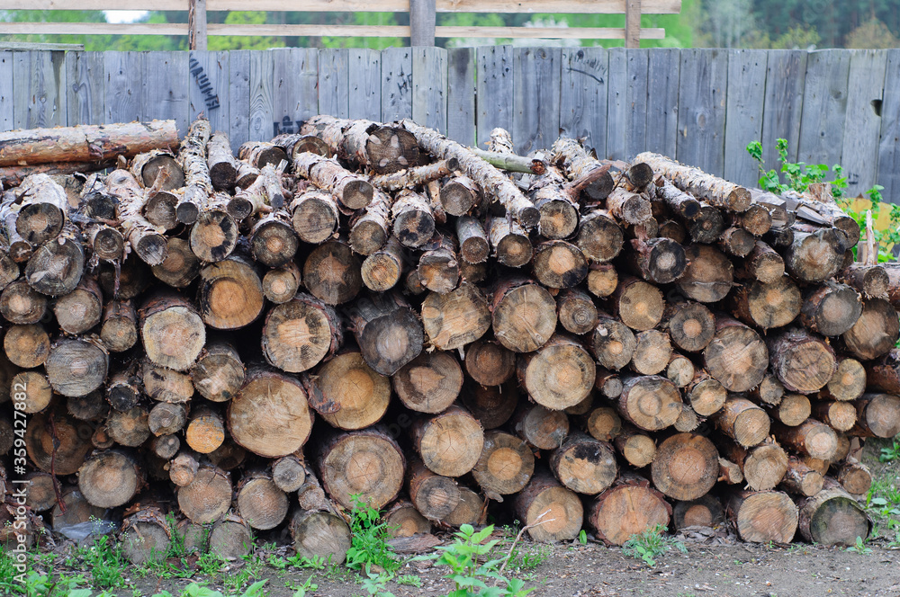 Sawn logs and stump of a sawn tree on the grass. Sanitary cutting of trees.Pine tree trunks cut Sawn logs and stump of a sawn tree on the grass. Sanitary cutting of trees.Pine tree trunks cut