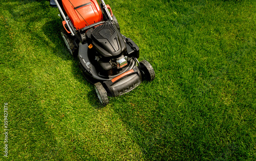 Behang Lawn mower on green grass. Summer garden