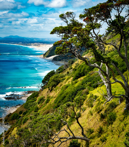 A view along the coastline of the pacific ocean from the famous mangawhai heads walk in northland new zealand