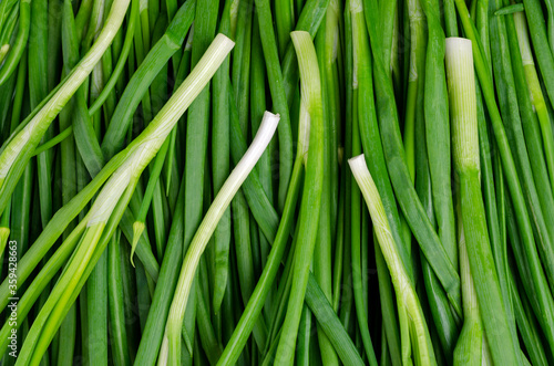 Background green onion leaves.