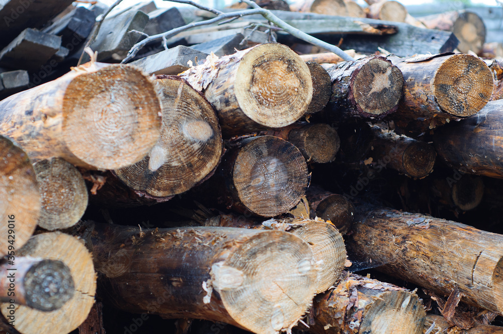 Sawn logs and stump of a sawn tree on the grass. Sanitary cutting of trees.Pine tree trunks cut Sawn logs and stump of a sawn tree on the grass. Sanitary cutting of trees.Pine tree trunks cut