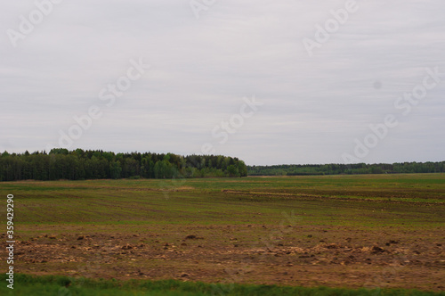 Plowed field on forest background. Cloudy day.