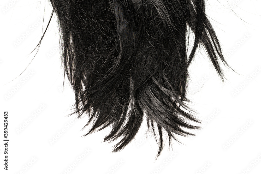 Fototapeta Black hair tips isolated on white.