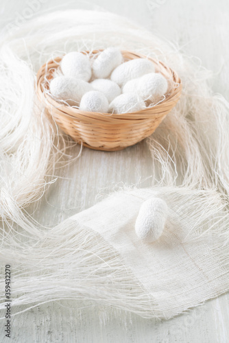 natural silkworm cocoons are source of silk thread, textile