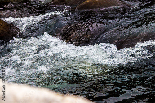 flowing river having rocks in the river