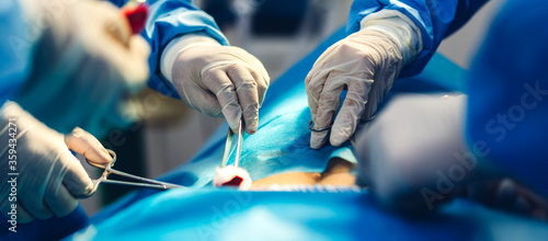 Quadro su tela Professional anesthesiologist doctor medical team and assistant preparing patien