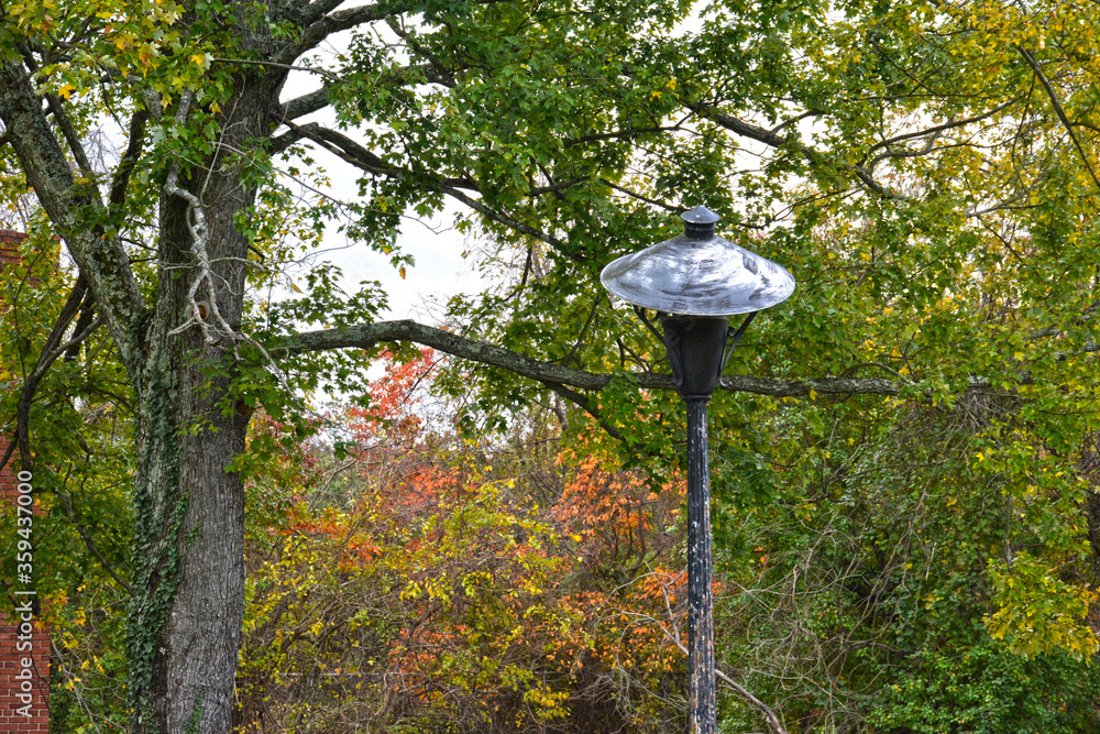 broken lamp post broken lamp post