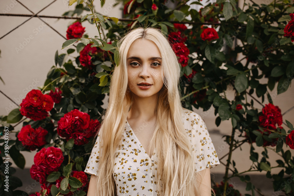 Beautiful young woman with long blonde hair standing on a wall of burgundy roses background, looking to camera. Beautiful young woman with long blonde hair standing on a wall of burgundy roses background, looking to camera.
