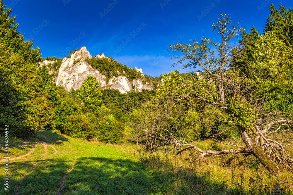 Mountain landscape with rocky peaks on background in summer time. The National Nature Reserve Sulov Rocks, Slovakia, Europe.