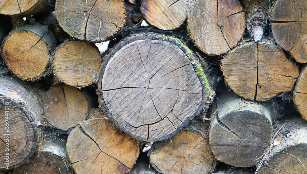 Naklejka premium Buches de bois