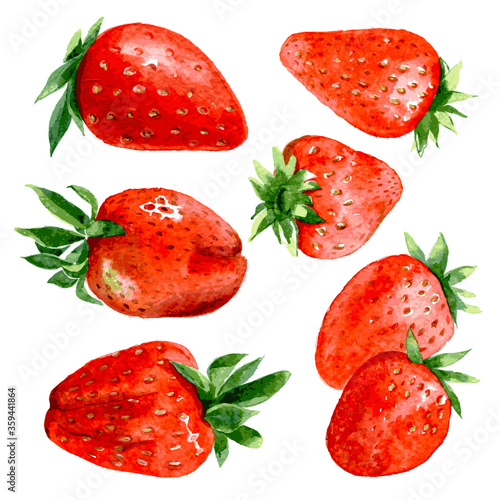 Hand drawn watercolor painting strawberry on white background. vector