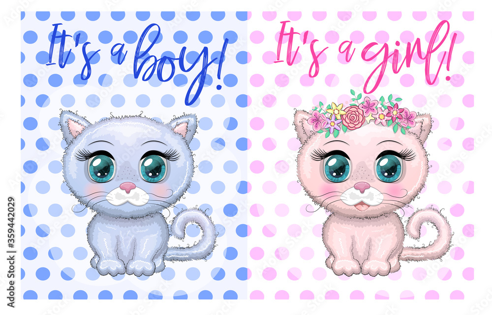 Baby Shower greeting card with Cute Kittens boy and girl Baby Shower greeting card with Cute Kittens boy and girl