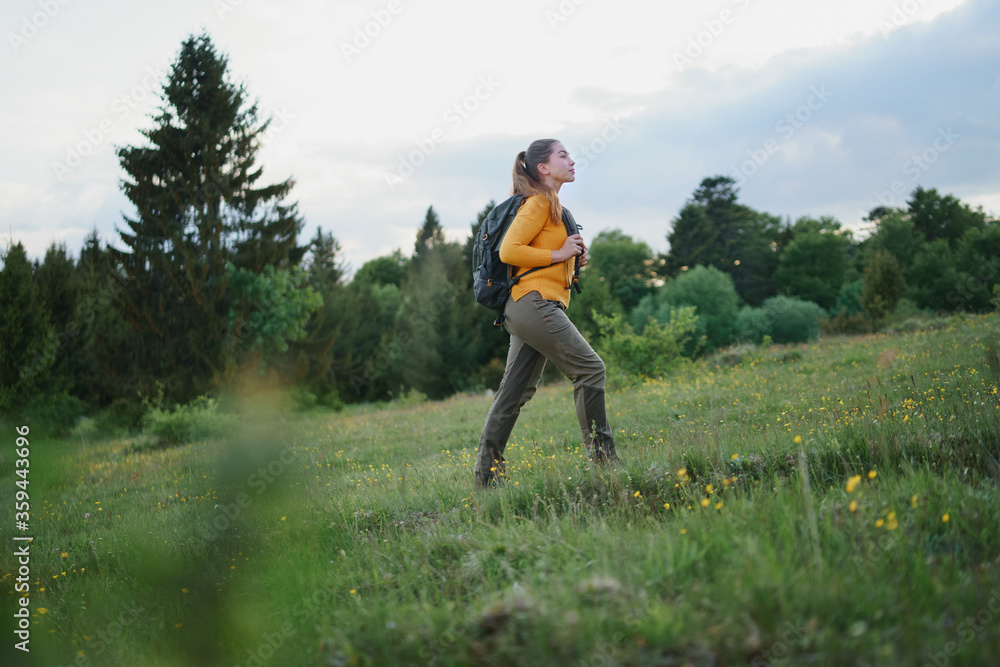 Naklejka premium Young woman on a walk outdoors on meadow in summer nature, walking.