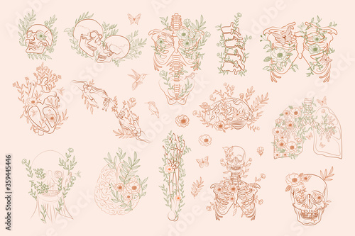 Set of Vintage Floral Anatomy elements in one line. Human skeleton and inner organs with flowers and leaves. Editable vector illustration.