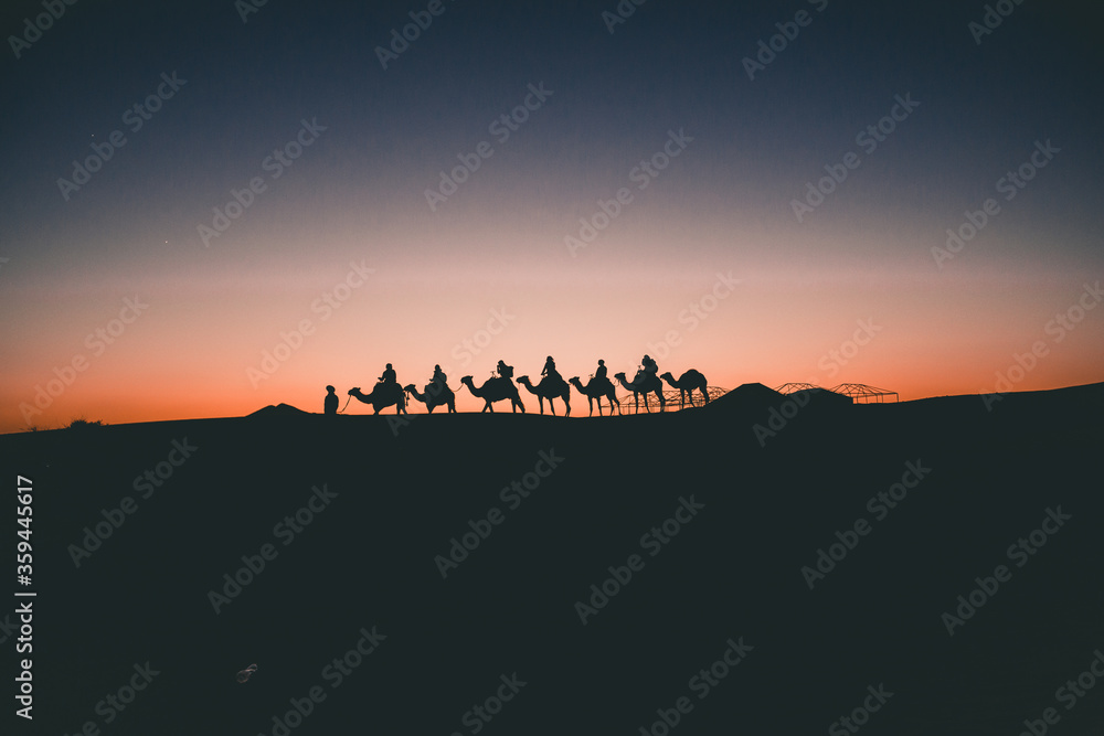 Beautiful Silhouette of Camels on Travel Tour through Sahara Desert Sunset 