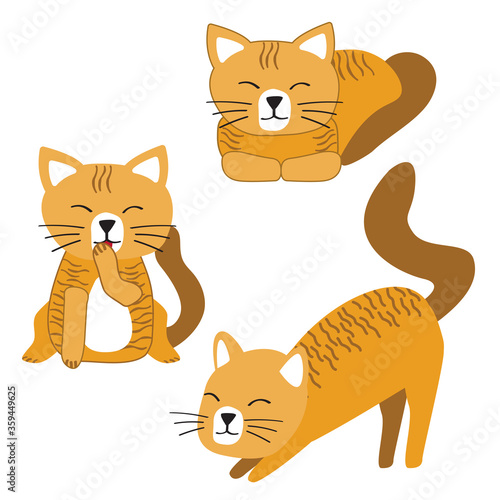Cat or kitten character design set. Cute cartoon cats illustration.