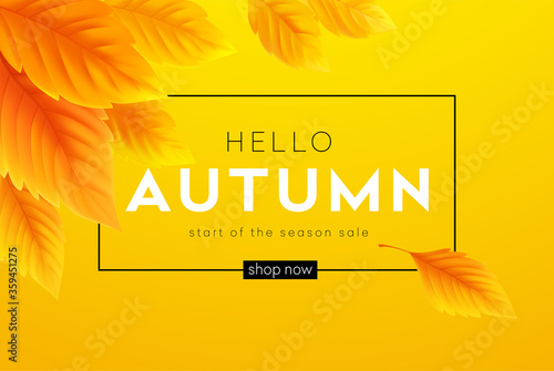 Hello Autumn sale background with realistic yellow autumn leaves. Vector illustration