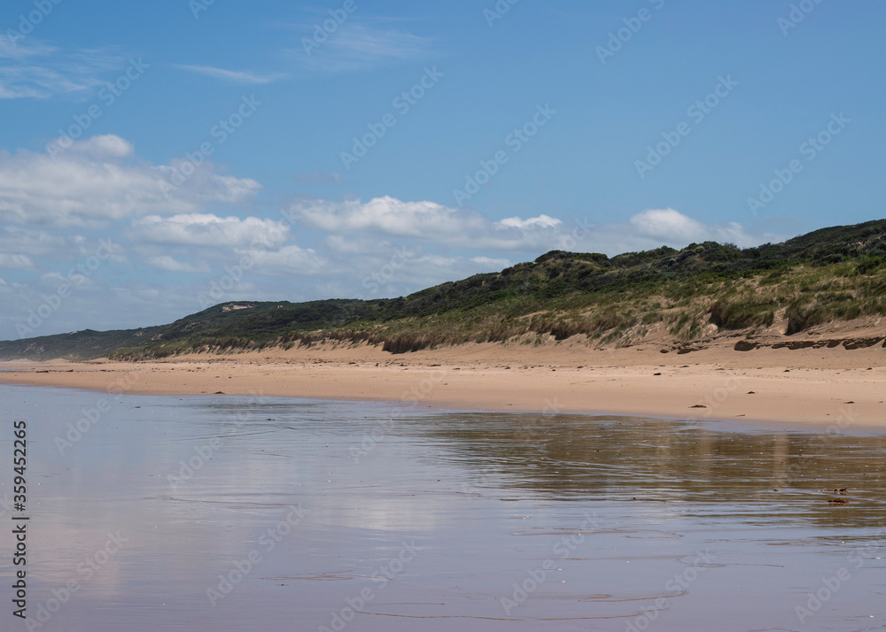 Beach Landscape and Water Reflections
