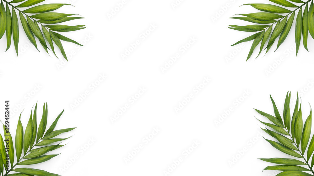 White background with leaves White background with leaves