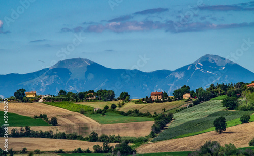 Paesaggio rurale marchigiano con le montagne come sfondo