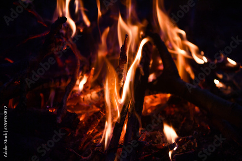 fire  flame  fire at night  night flame  fire  picnic  barbecue  cooking on fire  hot branches  bonfire