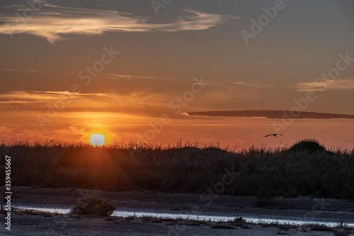 Lever coucher de soleil sur les marais salants de Camargue - Sunrise over the Camargue salt marshes
