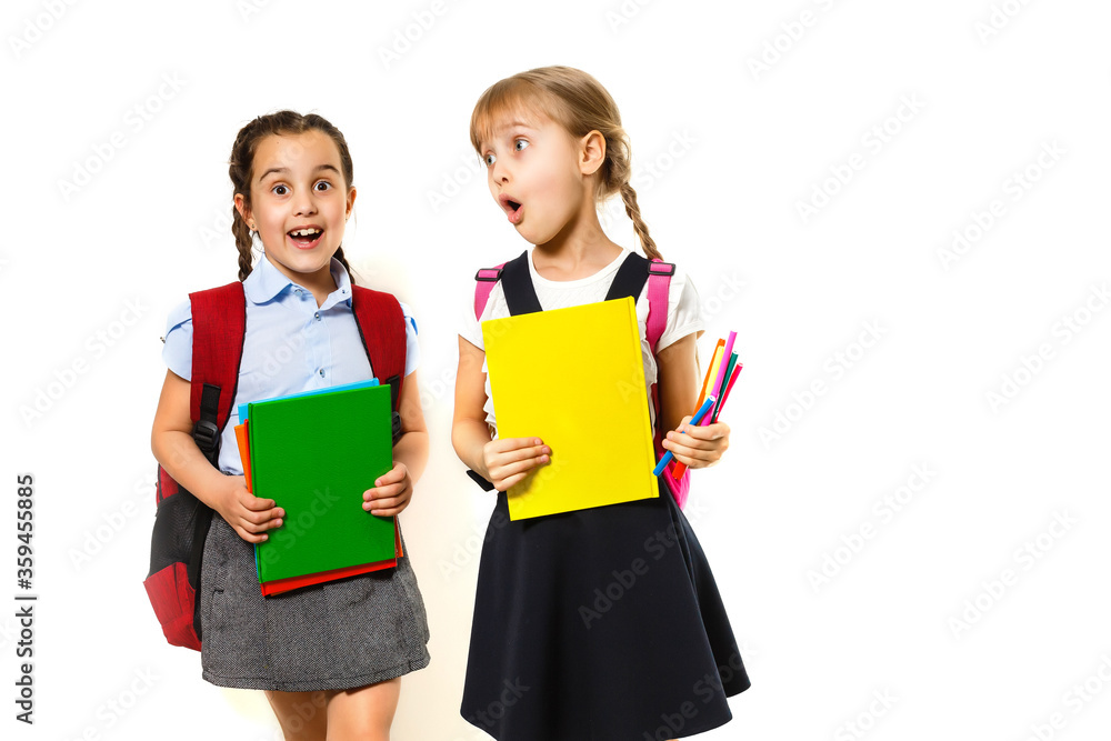Two little schoolgirls. Education, fashion, friendship concept.