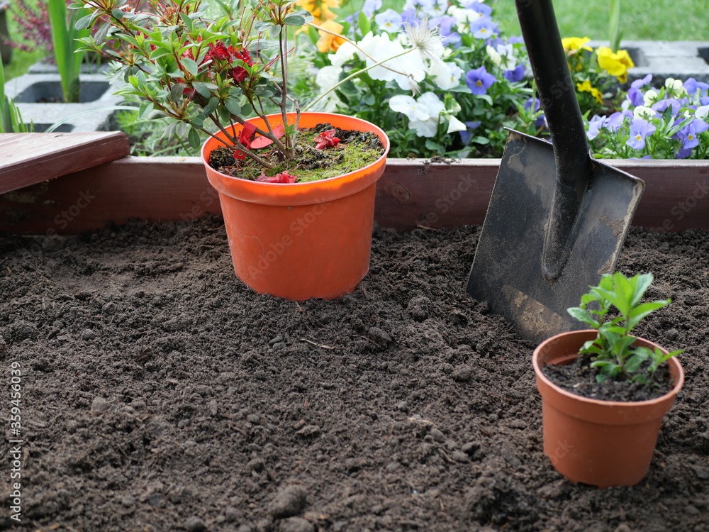 Fototapeta premium Prace w ogrodzie