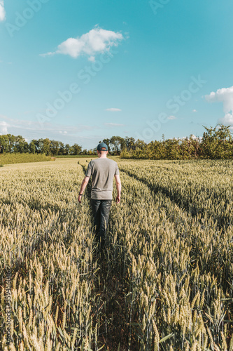 man in a wheat field