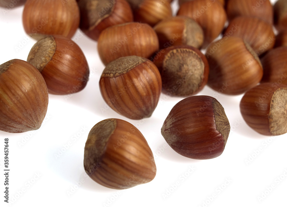 NOISETTE NOISETTE