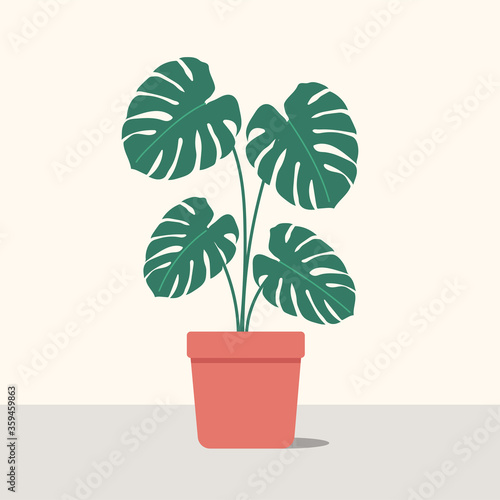 Monstera potted plant in pot in flat design 