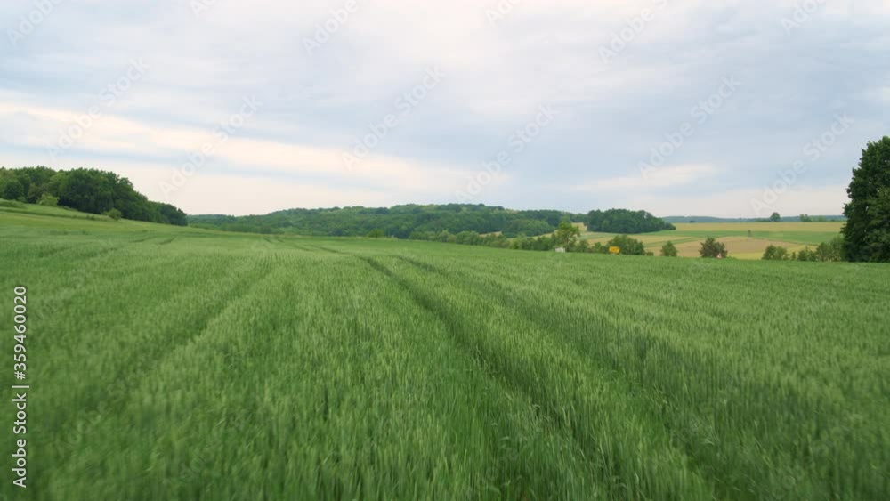 4K Wide Drone Shot Of Fields During Harvest Season 4K Wide Drone Shot Of Fields During Harvest Season