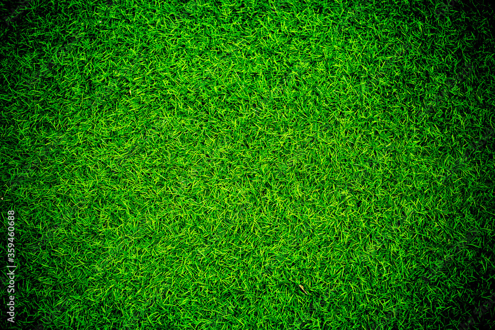 © waranyu - green grass background, football field