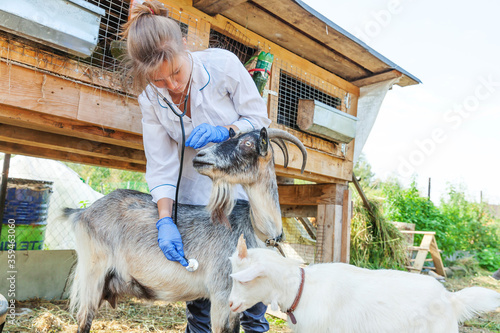 Young veterinarian woman with stethoscope holding and examining goat on ranch background. Young goat with vet hands for check up in natural eco farm. Animal care and ecological farming concept.