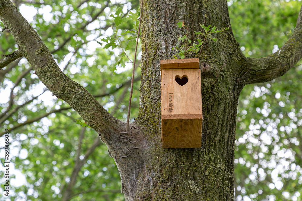 Procession caterpillar nest on tree beside a bird box with the text love birds. Birds are very important in the combat of Procession caterpillar